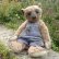 画像1: 1点もの☆Hilly Hawick 42cm by Ali Jayne Creations （英） (1)