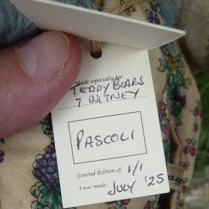 画像8: 1点もの☆ Pascoli 30cm by Ali Jayne Creations （英）