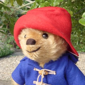 画像4: 2025年5月発売☆　メリーソート リトルパディントン クラシックエディション 20cm 133番