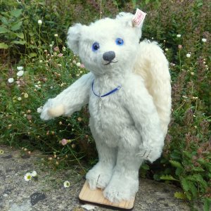 画像1: シュタイフ　【ウィットニー限定】 ジョージーナ・カーディアン・エンジェル・ベア 25cm 708番