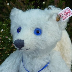 画像3: シュタイフ　【ウィットニー限定】 ジョージーナ・カーディアン・エンジェル・ベア 25cm 708番