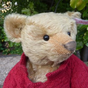 画像4: シュタイフ　【ウィットニー限定】 ストラトフォード1907レプリカ 30cm 396番