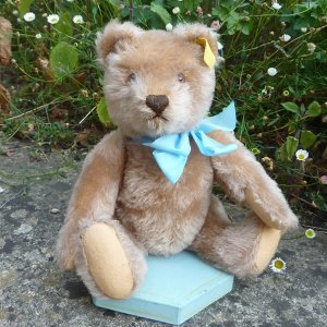 画像1: 大変良い状態＆可愛いお顔です☆ Steiff Caramel Original Teddy 23cm 推定1950年代　（ビンテージ）