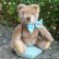 画像1: 大変良い状態＆可愛いお顔です☆ Steiff Caramel Original Teddy 23cm 推定1950年代　（ビンテージ） (1)