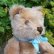 画像3: 大変良い状態＆可愛いお顔です☆ Steiff Caramel Original Teddy 23cm 推定1950年代　（ビンテージ）