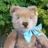 画像2: 大変良い状態＆可愛いお顔です☆ Steiff Caramel Original Teddy 23cm 推定1950年代　（ビンテージ）