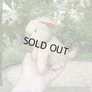 画像5: 【ウィットニー限定】ウォーリー 20cm 　62番