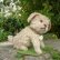 画像3: 【ウィットニー限定】ウォーリー 20cm 　62番 (3)