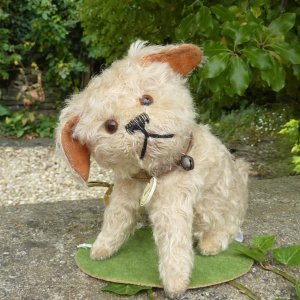 画像1: 【ウィットニー限定】ウォーリー 20cm 　62番