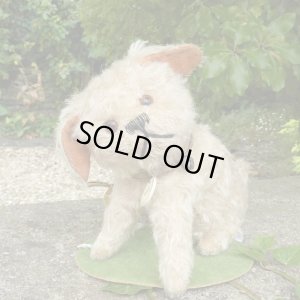 画像1: 【ウィットニー限定】ウォーリー 20cm 　62番