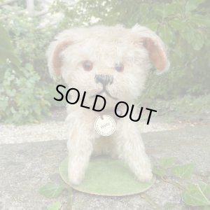 画像2: 【ウィットニー限定】ウォーリー 20cm 　62番