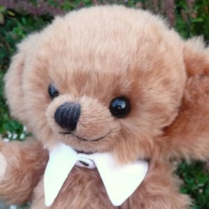 画像5: メリーソート【ウィットニー限定】チーキー・ボー  33cm