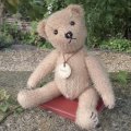 1体限り☆【ウィットニー限定】ティミー 21cm