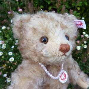 画像6: 【ウィットニー限定】　シュタイフ ハッピー 22cm 　4番