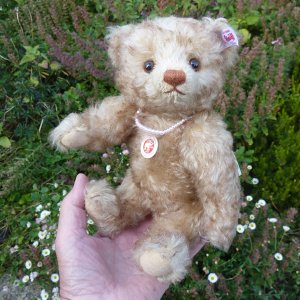 画像3: 【ウィットニー限定】　シュタイフ ハッピー 22cm 　4番