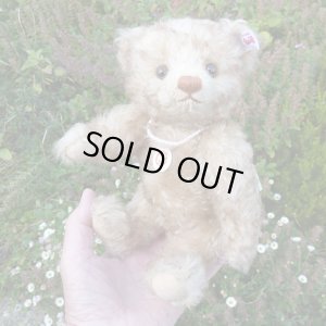 画像3: 【ウィットニー限定】　シュタイフ ハッピー 22cm 　4番