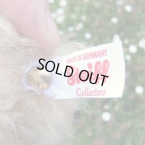 画像8: 【ウィットニー限定】　シュタイフ ハッピー 22cm 　4番