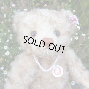 画像4: 【ウィットニー限定】　シュタイフ ハッピー 22cm 　4番