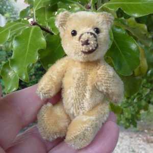 画像3: 【ウィットニー限定】セオドア　8.5cm  836番