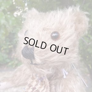 画像6: ウィットニー40周年記念☆ メリーソート　【ウィットニー限定】 ティミー 20cm 27番