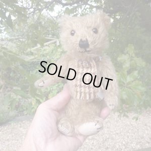 画像1: ウィットニー40周年記念☆ メリーソート　【ウィットニー限定】 ティミー 20cm 27番