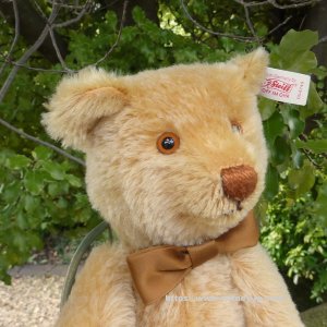 画像3: シュタイフ　【ウィットニー限定】 ジョージ 30cm 1277番