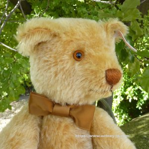 画像4: シュタイフ　【ウィットニー限定】 ジョージ 30cm 1266番