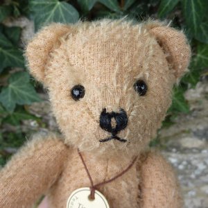 画像2: 【ウィットニー限定】ティミー 21cm （画像あり）