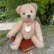 画像1: 【ウィットニー限定】ティミー 21cm （画像あり） (1)