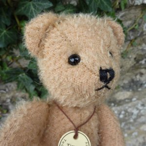 画像4: 【ウィットニー限定】ティミー 21cm （画像あり）