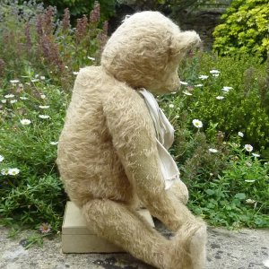 画像3: 1点もの☆ Rob 42cm by Susanne Tauber（独）