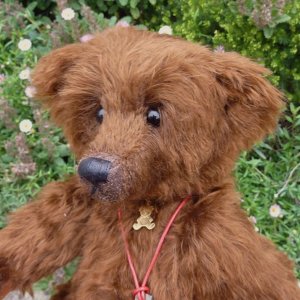 画像3: 1点もの ☆ Triston by Sharon Barro 35cm（米）