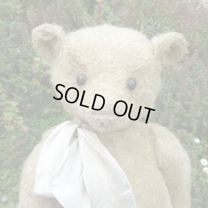 画像4: 1点もの☆ Rob 42cm by Susanne Tauber（独）