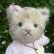 画像2: オススメです☆ 【ウィットニー限定】子猫の カトリーナ 22cm 33番