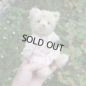 画像5: オススメです☆ 【ウィットニー限定】子猫の カトリーナ 22cm 33番