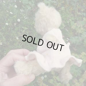 画像6: オススメです☆ 【ウィットニー限定】子猫の カトリーナ 22cm 33番