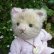 画像3: オススメです☆ 【ウィットニー限定】子猫の カトリーナ 22cm 33番