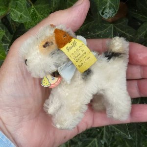 画像3: ID全てあり！ 大変良い状態です☆　8cm Steiff Foxy Fox Terrier 　推定1959年〜1964年　（ビンテージ）