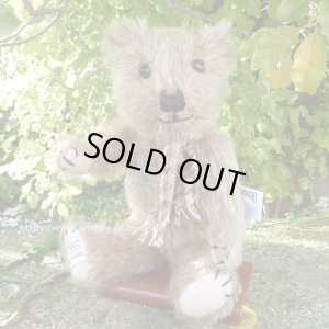 画像1: ウィットニー40周年記念☆ メリーソート　【ウィットニー限定】 ティミー 20cm 68番