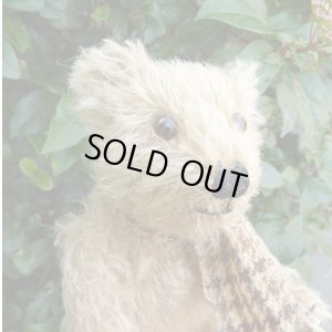 画像4: ウィットニー40周年記念☆ メリーソート　【ウィットニー限定】 ティミー 20cm 68番