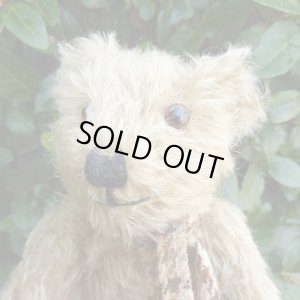 画像3: ウィットニー40周年記念☆ メリーソート　【ウィットニー限定】 ティミー 20cm 68番