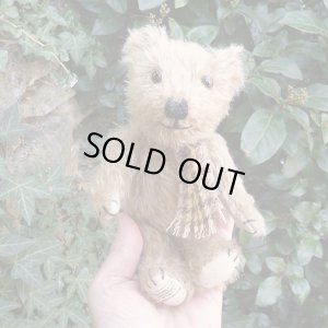 画像5: ウィットニー40周年記念☆ メリーソート　【ウィットニー限定】 ティミー 20cm 68番