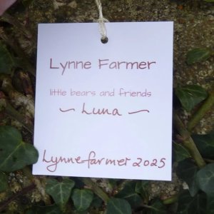 画像8: Xmasに！新年に！！ 1点もの☆　Luna Pony 15cm by Lynne Farmer（英）