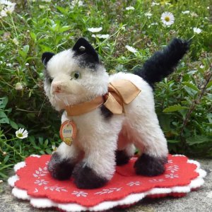 画像1: 12cm Steiff Gussy Cat 推定1950年代　（ビンテージ）