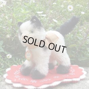 画像1: 12cm Steiff Gussy Cat 推定1950年代　（ビンテージ）