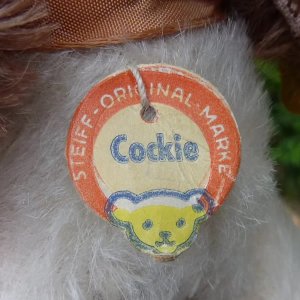 画像6: ID全てあり！可愛いお顔です☆ Steiff Cockie Cocker Spaniel 10cm 推定 1951年〜1958年頃（ビンテージ）