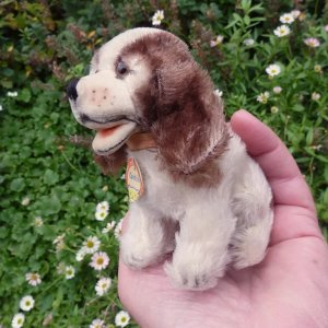 画像4: ID全てあり！可愛いお顔です☆ Steiff Cockie Cocker Spaniel 10cm 推定 1951年〜1958年頃（ビンテージ）