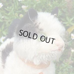 画像6: 12cm Steiff Gussy Cat 推定1950年代　（ビンテージ）