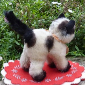 画像3: 12cm Steiff Gussy Cat 推定1950年代　（ビンテージ）