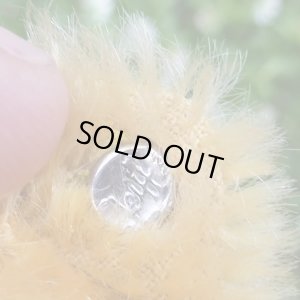 画像7: 大変良い状態です☆ Steiff Blond Original Teddy 20cm 推定1960年代　（ビンテージ）